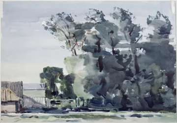 Arbres - Aube